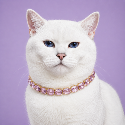 White cat wearing a pink diamond-studded collar on a purple background